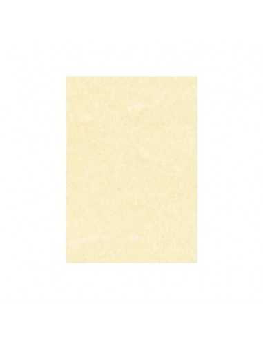 Carta pergamena DECAdry T105027 A3 165 g/m² 42 x 29,7 cm champagne 25 unità  su