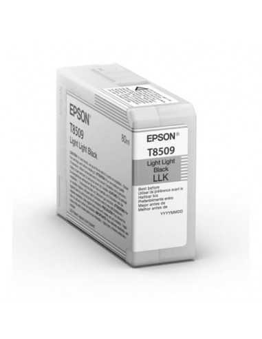 Cartuccia inkjet Epson nero chiaro C13T850900